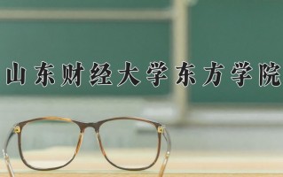 2025年山东财经大学东方学院在河南计划招生人数（附学费及专业录取分)