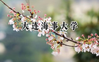 2024大连海事大学录取分数线：新疆最低491分