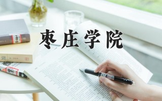 2025年枣庄学院在河南计划招生人数（附学费及专业录取分)