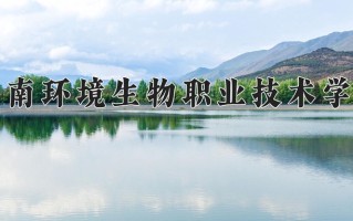 2025年湖南环境生物职业技术学院在四川计划招生人数（附学费及专业录取分)