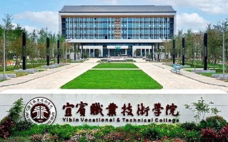 2024年宜宾职业技术学院录取分数线，青海最低204分