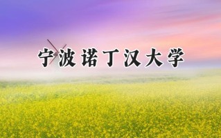 2024宁波诺丁汉大学录取分数线：陕西最低512分