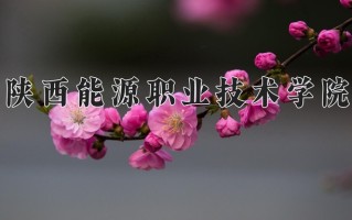 2025年陕西能源职业技术学院在河南计划招生人数（附学费及专业录取分)
