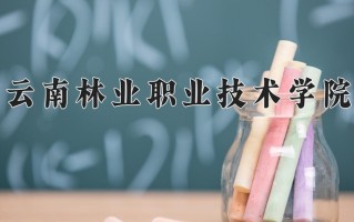 2024年云南林业职业技术学院录取分数线，青海最低294分