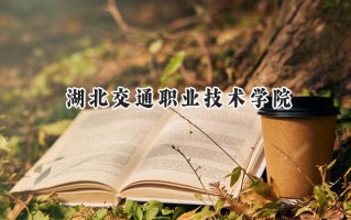 湖北交通职业技术学院2024在山东录取分数线是多少？最低406分/最高426分