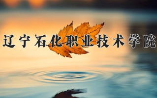 2025年辽宁石化职业技术学院在四川计划招生人数（附学费及专业录取分)