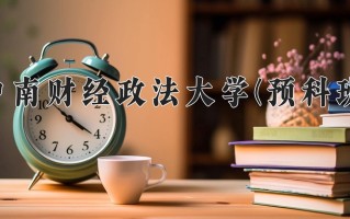 2025年中南财经政法大学(预科班)在重庆计划招生人数（附学费及专业录取分)