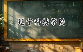 2024辽宁科技学院录取分数线：宁夏最低409分
