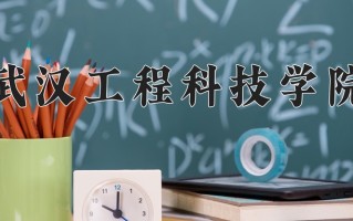 2025年武汉工程科技学院在河南计划招生人数（附学费及专业录取分)