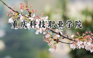 2024重庆科技职业学院录取分数线：江苏最低223分
