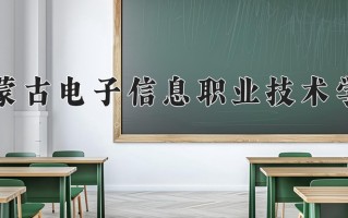 2024年内蒙古电子信息职业技术学院录取分数线，内蒙古最低265分