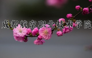 2024年成都航空职业技术学院录取分数线，新疆最低279分