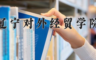 2025年辽宁对外经贸学院在新疆计划招生人数（附学费及专业录取分)