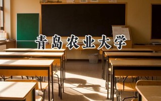 青岛农业大学2024在浙江录取分数线是多少？最低487分/最高560分