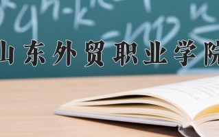 2025年山东外贸职业学院在河南计划招生人数（附学费及专业录取分)