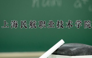 2025年上海民航职业技术学院在四川计划招生人数（附学费及专业录取分)