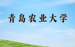 2025年青岛农业大学在新疆计划招生人数（附学费及专业录取分)