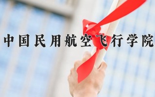 2025年中国民用航空飞行学院在河南计划招生人数（附学费及专业录取分)