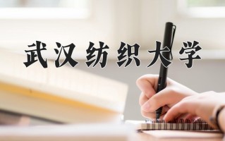2025年武汉纺织大学在四川计划招生人数（附学费及专业录取分)
