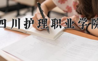 2025年四川护理职业学院在河南计划招生人数（附学费及专业录取分)