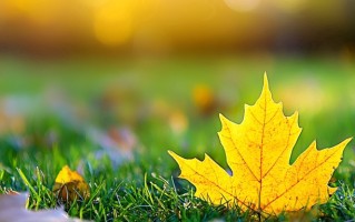 数理基础科学专业就业形势揭秘！附2025年前景与方向全解析