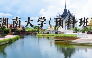 2025年湖南大学(预科班)在重庆计划招生人数（附学费及专业录取分)
