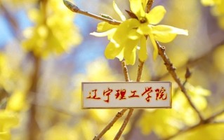 2024年辽宁理工学院录取分数线，河北最低449分
