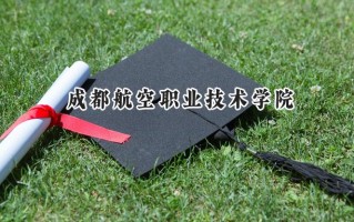 成都航空职业技术学院2024在上海录取分数线是多少？最低205分/最高223分