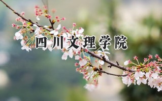 四川文理学院2024在青海录取分数线是多少？最低356分/最高419分