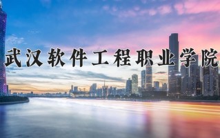 2025年武汉软件工程职业学院在新疆计划招生人数（附学费及专业录取分)