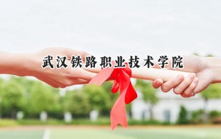 武汉铁路职业技术学院2024在青海录取分数线是多少？最低319分/最高423分