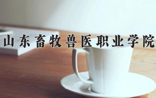 2025年山东畜牧兽医职业学院在新疆计划招生人数（附学费及专业录取分)