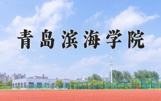 2025年青岛滨海学院在新疆计划招生人数（附学费及专业录取分)