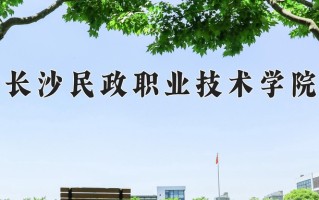 2025年长沙民政职业技术学院在四川计划招生人数（附学费及专业录取分)