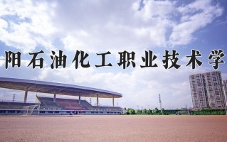 2025年濮阳石油化工职业技术学院在河南计划招生人数（附学费及专业录取分)