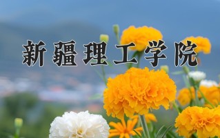 2025年新疆理工学院在四川计划招生人数（附学费及专业录取分)