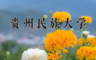 2025年贵州民族大学在河南计划招生人数（附学费及专业录取分)