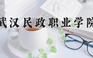 2025年武汉民政职业学院在新疆计划招生人数（附学费及专业录取分)