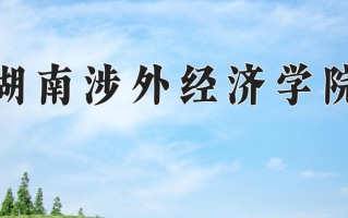 2025年湖南涉外经济学院在河南计划招生人数（附学费及专业录取分)