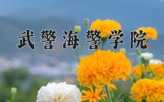 2025年武警海警学院在重庆计划招生人数（附学费及专业录取分)