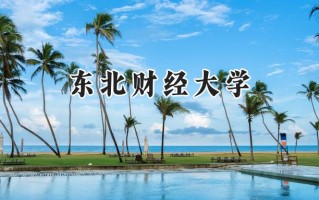 东北财经大学2024在内蒙古录取分数线是多少？最低489分/最高618分
