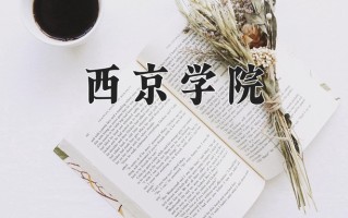 2025年西京学院在四川计划招生人数（附学费及专业录取分)