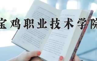 2025年宝鸡职业技术学院在新疆计划招生人数（附学费及专业录取分)