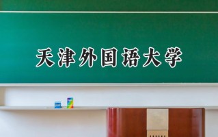 2024天津外国语大学录取分数线：山西最低506分