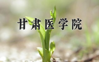 2025年甘肃医学院在河南计划招生人数（附学费及专业录取分)