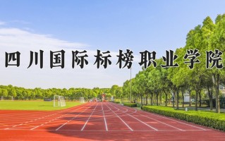 2025年四川国际标榜职业学院在新疆计划招生人数（附学费及专业录取分)