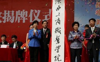 2024年陕西工商职业学院录取分数线，河北最低335分