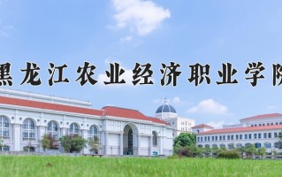 2025年黑龙江农业经济职业学院在新疆计划招生人数（附学费及专业录取分)
