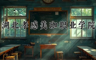 2025年湖北孝感美珈职业学院在河南计划招生人数（附学费及专业录取分)
