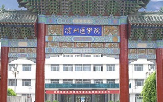 2024年滨州医学院录取分数线，河北最低519分